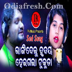 Bhangi Delu Hrudaya Heigala Tukuda - Sad Song